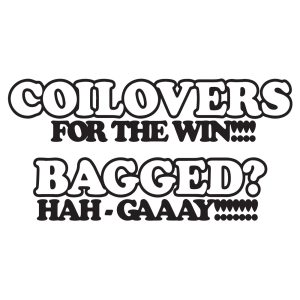 Coilovers vs bagged