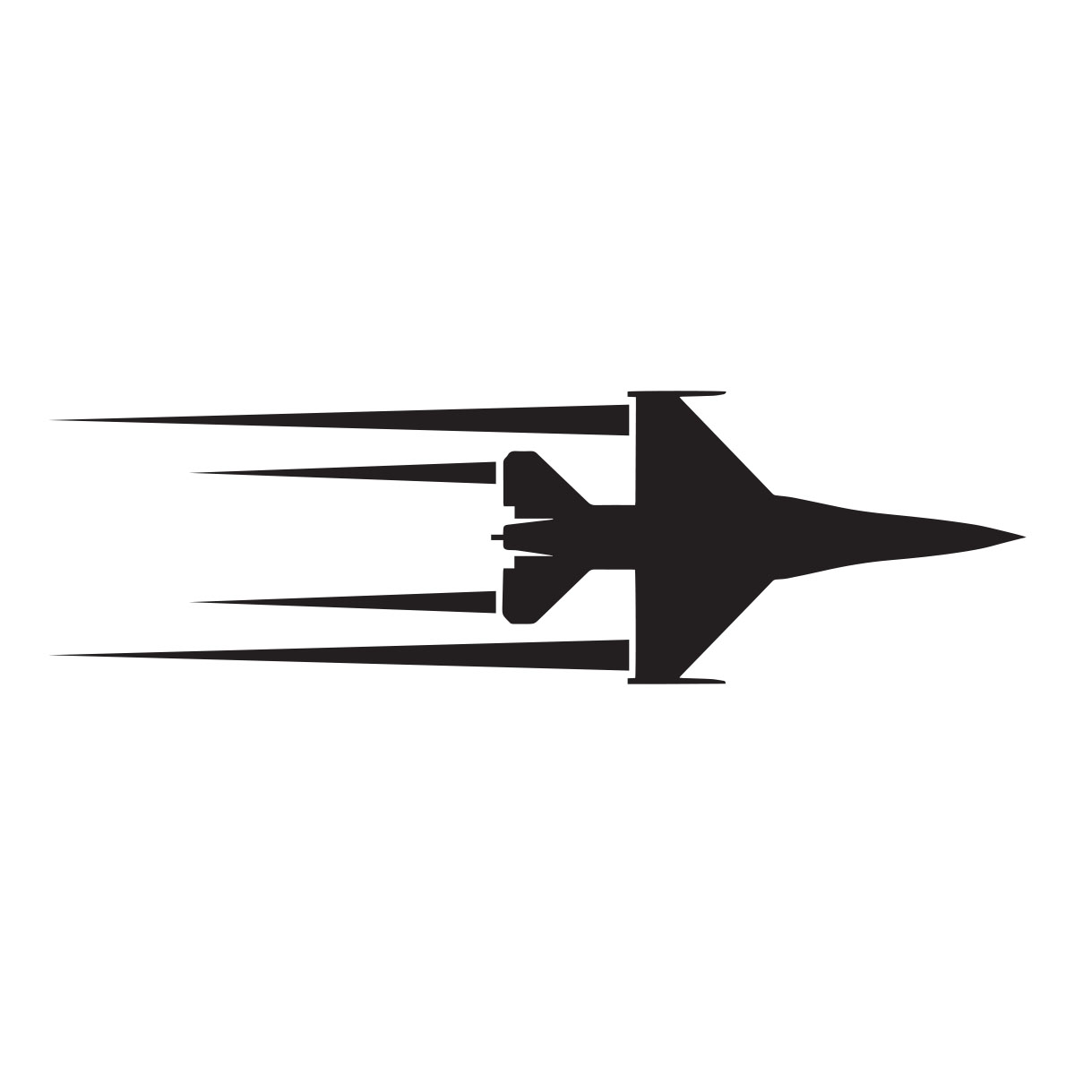 Fighter Jet