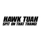 Hawk Tuah – Spit On That Thang 4