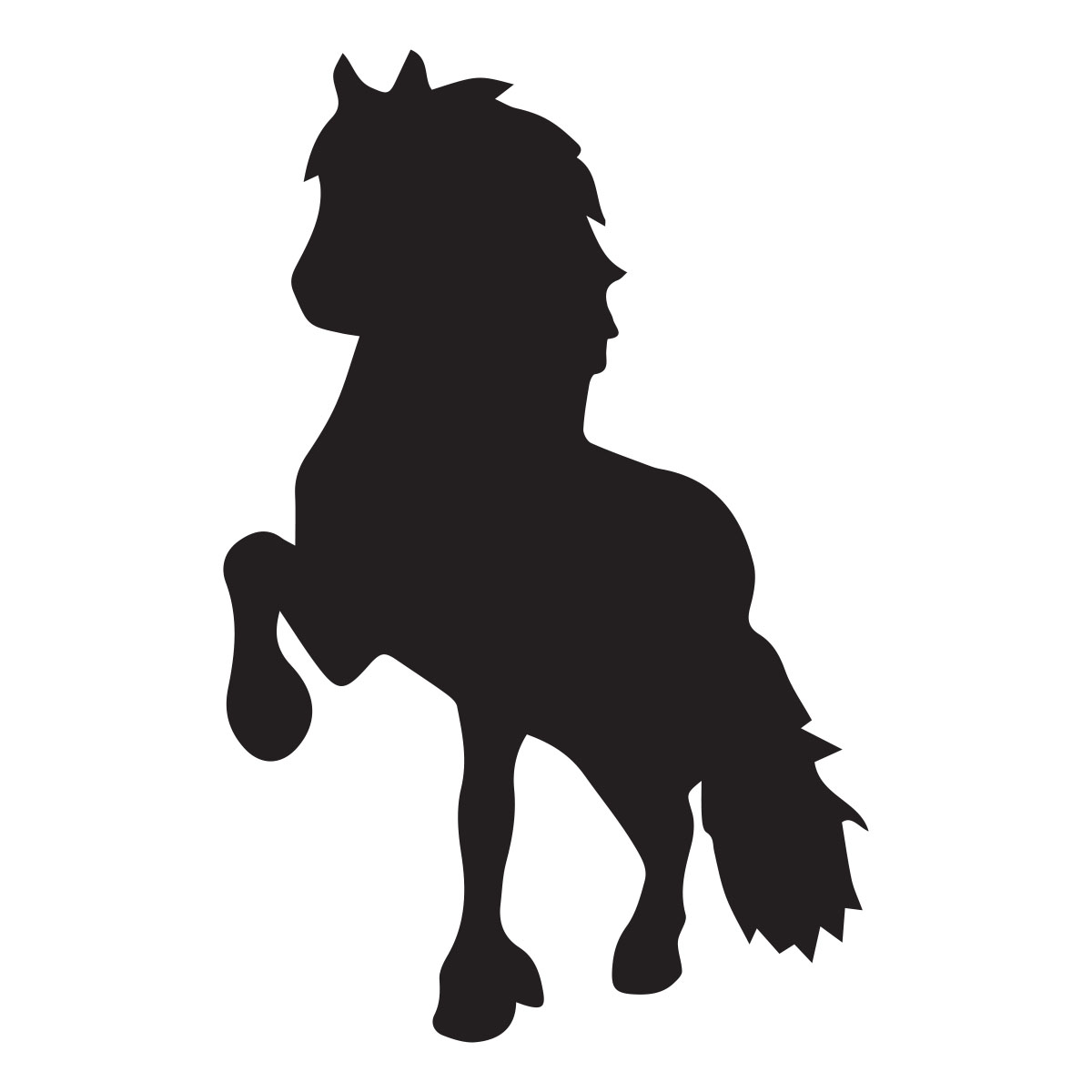 Hest