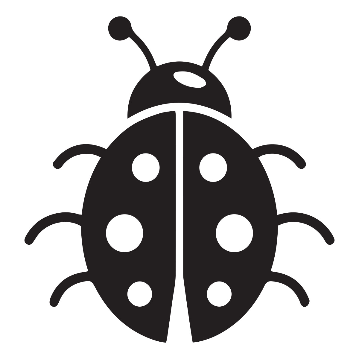 Ladybug