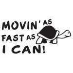 Movin As Fast As I Can – Turtle