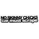 No Skinny Chicks – Car Must Scrape