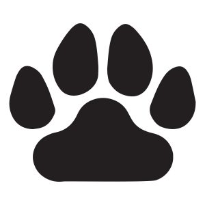paw