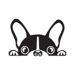 Pug