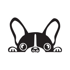 pug