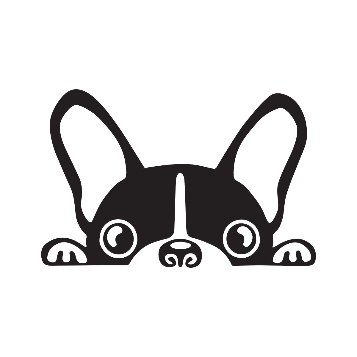 Pug