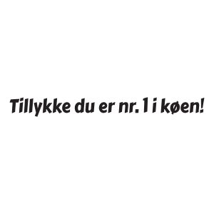 tillykke du er nr1 i koeen2